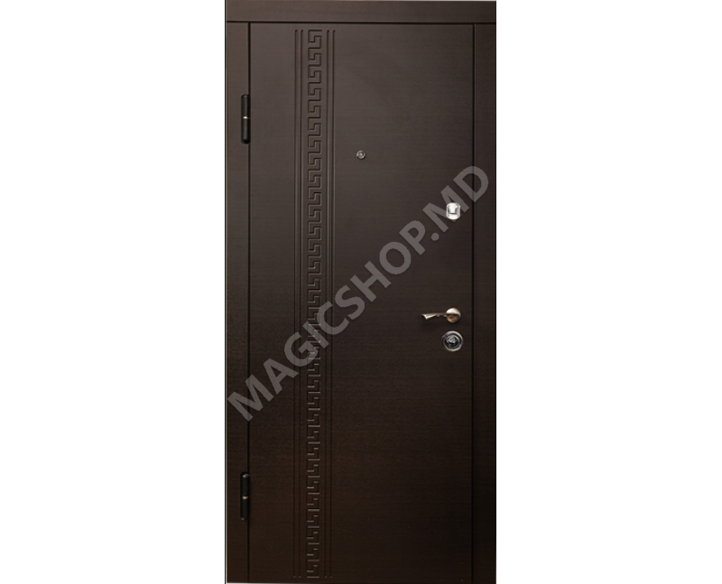 Usa exterior DT 2E (2050x860x70mm)